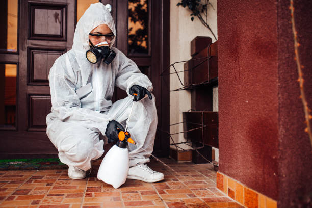 Reliable Wasp Removal contractor in Washington, UT by Show Me Pest Control